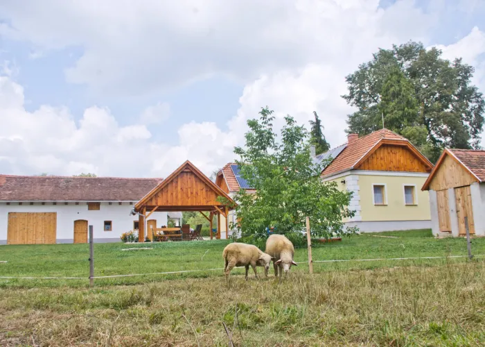 Aktív kikapcsolódás az Őrségben - Harmatcsepp Vendégház