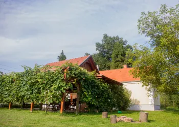 Nyugodt, vidéki környezet - Harmatcsepp Vendégház