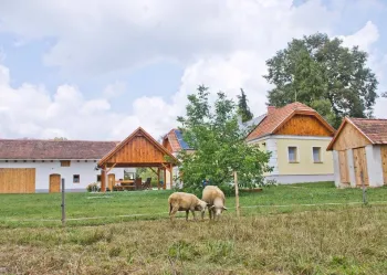 Pajta és állatbarát lehetőség - Harmatcsepp Vendégház