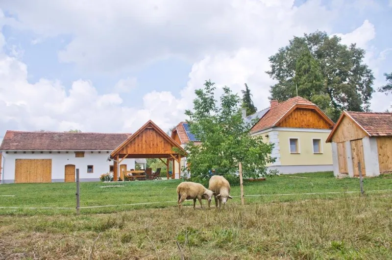Harmatcsepp Vendégház - Lapozó 0